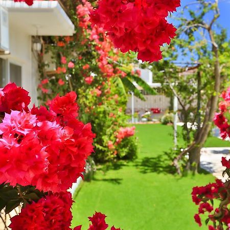 Kiraz Butik Hotel Alaçatı Extérieur photo