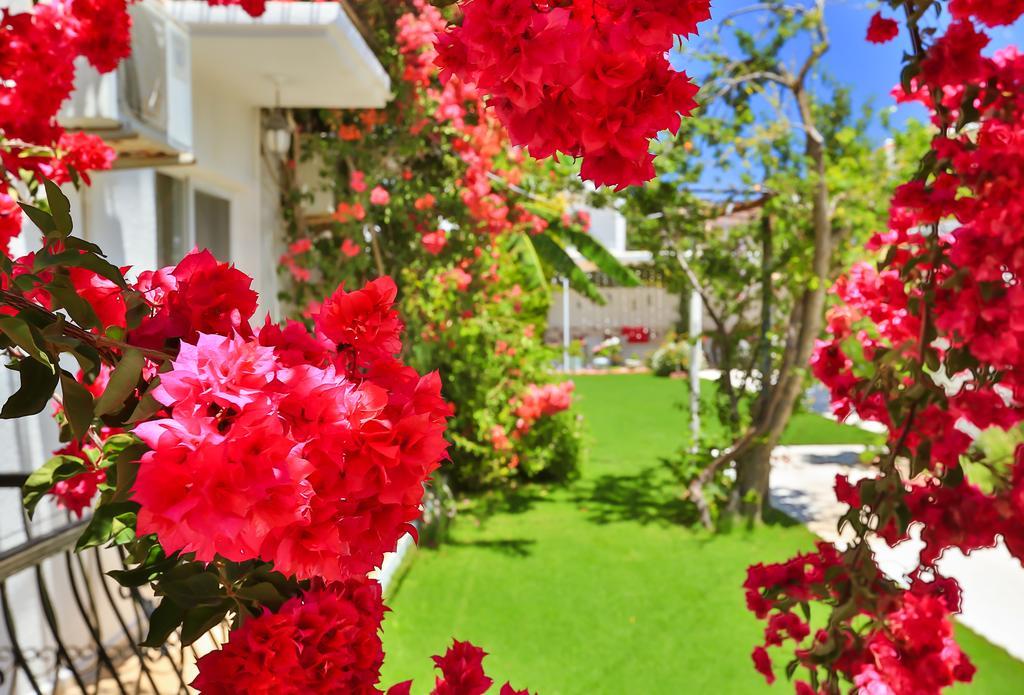 Kiraz Butik Hotel Alaçatı Extérieur photo